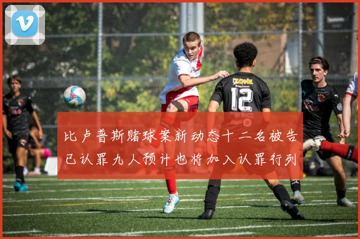 比卢普斯赌球案新动态十二名被告已认罪九人预计也将加入认罪行列