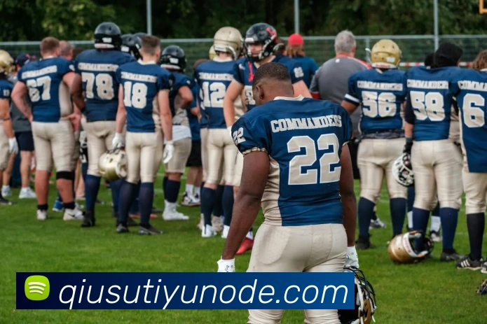 球速体育平台生态图