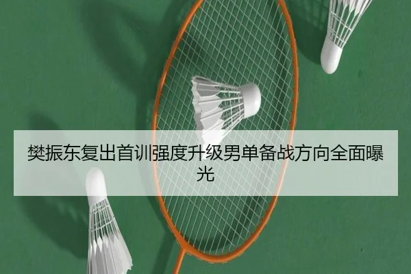 樊振东复出首训强度升级男单备战方向全面曝光